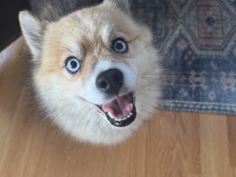 Hello World