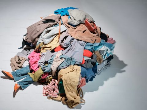 Fast Fashion and the Digital Economy: Social Media’s Influence